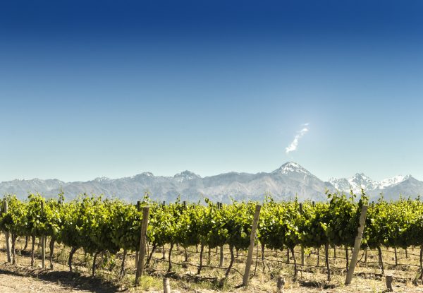 Chile’s VSPT Wine Group reports sustainability leaps