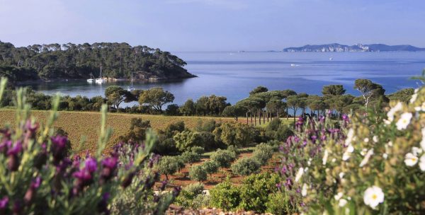 Léoube leading the way on sustainability in Provence