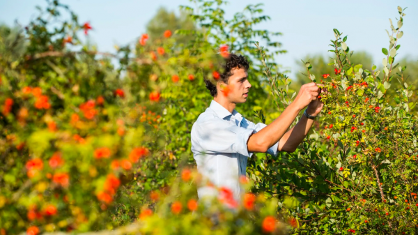 db meets: Barney Wilczak