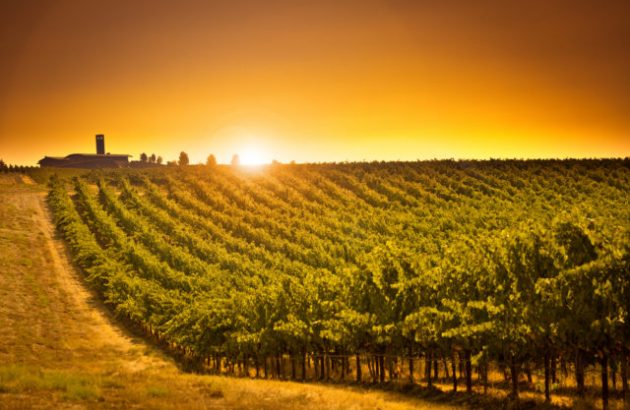 Five reasons Washington State should be on your radar