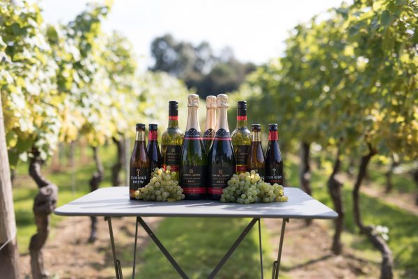 Treasury Wine Estates denies Chapel Down takeover bid