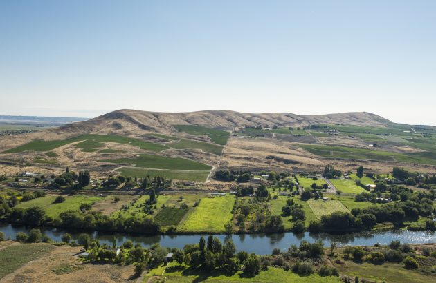 Antinori takes control of Washington State winery, Col Solare