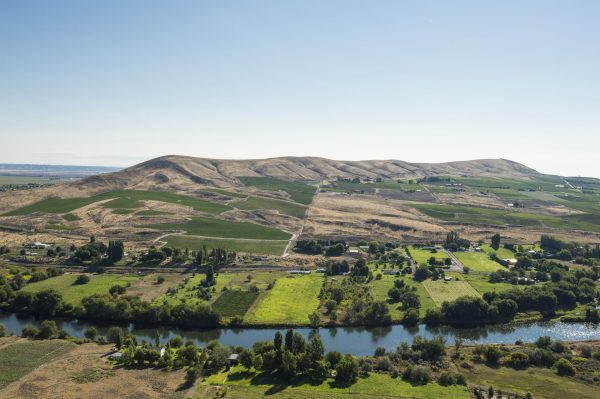 Antinori takes control of Washington State winery, Col Solare