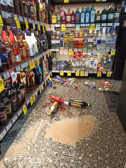 echidna breaks into alcohol store