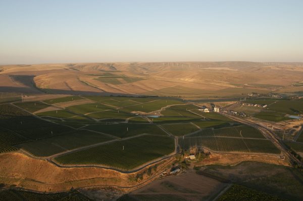 Washington producer Va Piano Vineyards extends holding in Walla Walla