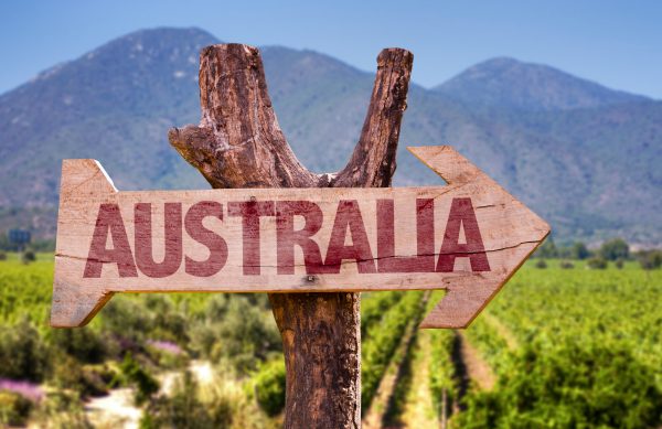 Australian wine exports fall 26% due to China tariffs and ‘challenging’ conditions