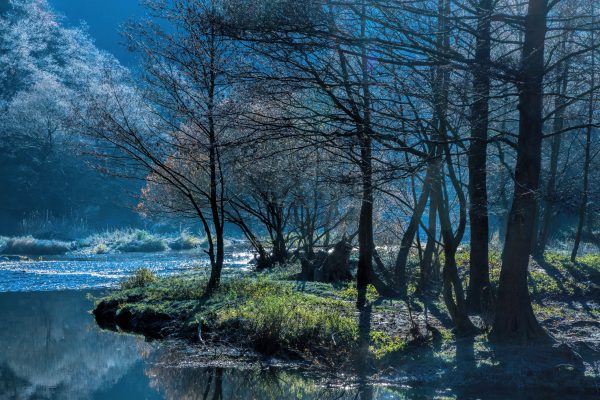 ProWein makes significant donation to Ahr Valley flood relief fund