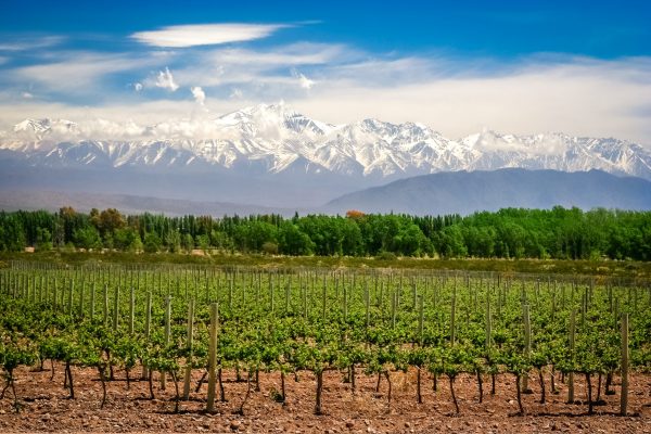 Wines of Argentina celebrates World Malbec Day