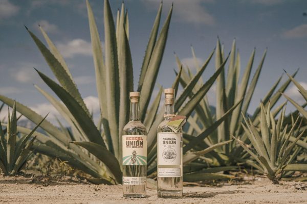 Diageo to acquire artisan brand Mezcal Unión