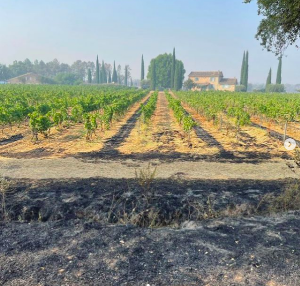 Stephen Cronk’s first-hand account of the Provence wildfire