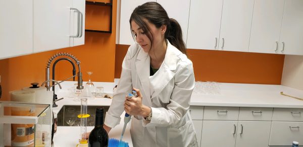 AI that can ‘taste wine’ helping detect smoke taint in wineries affected by Cali fires