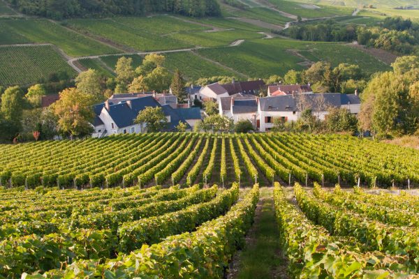 Pol Roger Portfolio adds Domaine Vacheron to stable