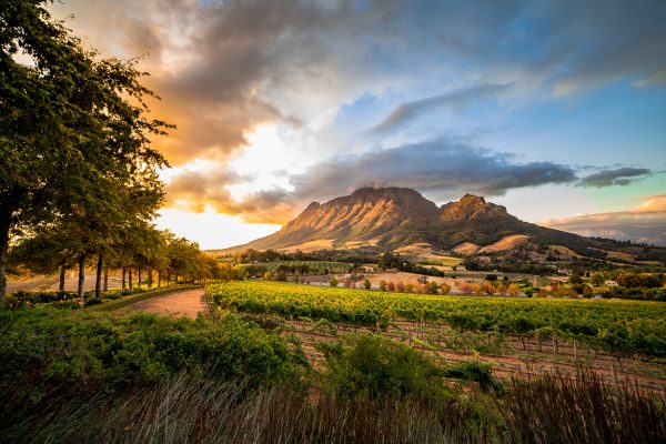 Cointreau family to auction historic Stellenbosch winery