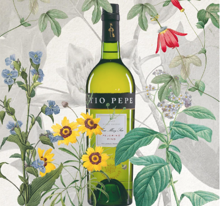 Summergate and Tío Pepe begin strategic  partnership in China