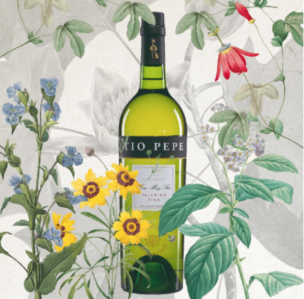 Summergate and Tío Pepe begin strategic  partnership in China