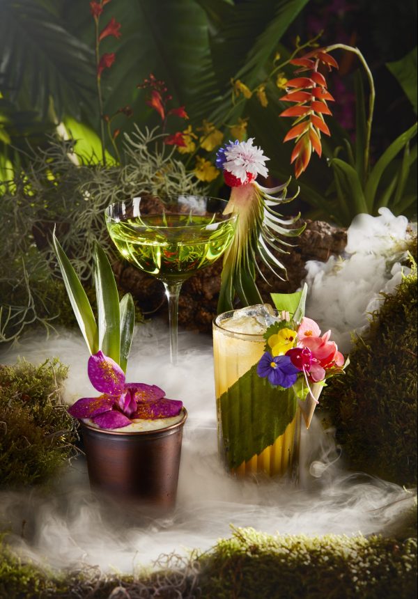 Annabel’s urges members to drink Tequila to save the rainforest