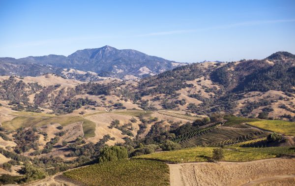 Aperture Cellars acquires Sonoma County’s Farrow Ranch
