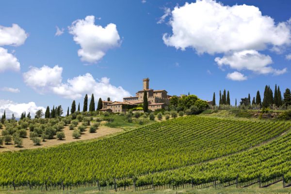 Why LVMH didn’t buy Brunello’s Banfi wine brand
