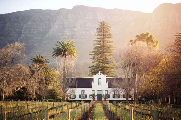 Tim Atkin MW reveals South Africa’s “best red grape”