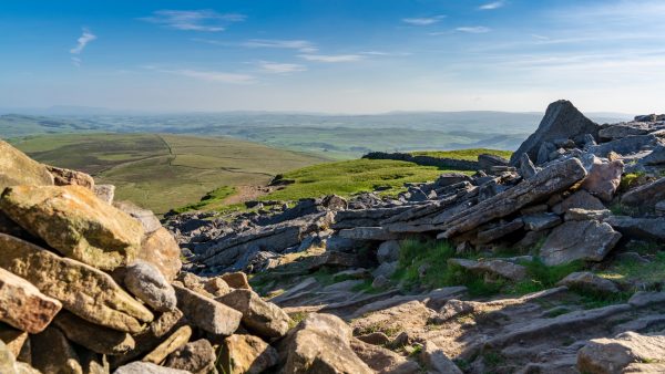 Is Yorkshire the future of English wine?