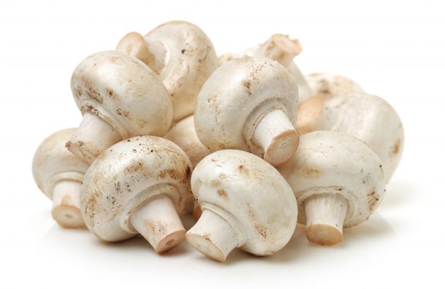 Food waste mushrooms help make longer lasting vegan beer
