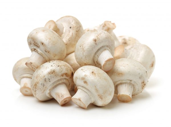 Food waste mushrooms help make longer lasting vegan beer
