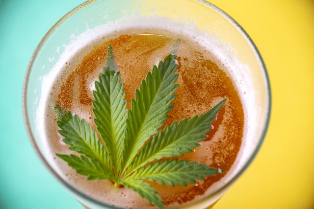 Cannabis drinks market value set to grow by US$8.3 billion in 2032