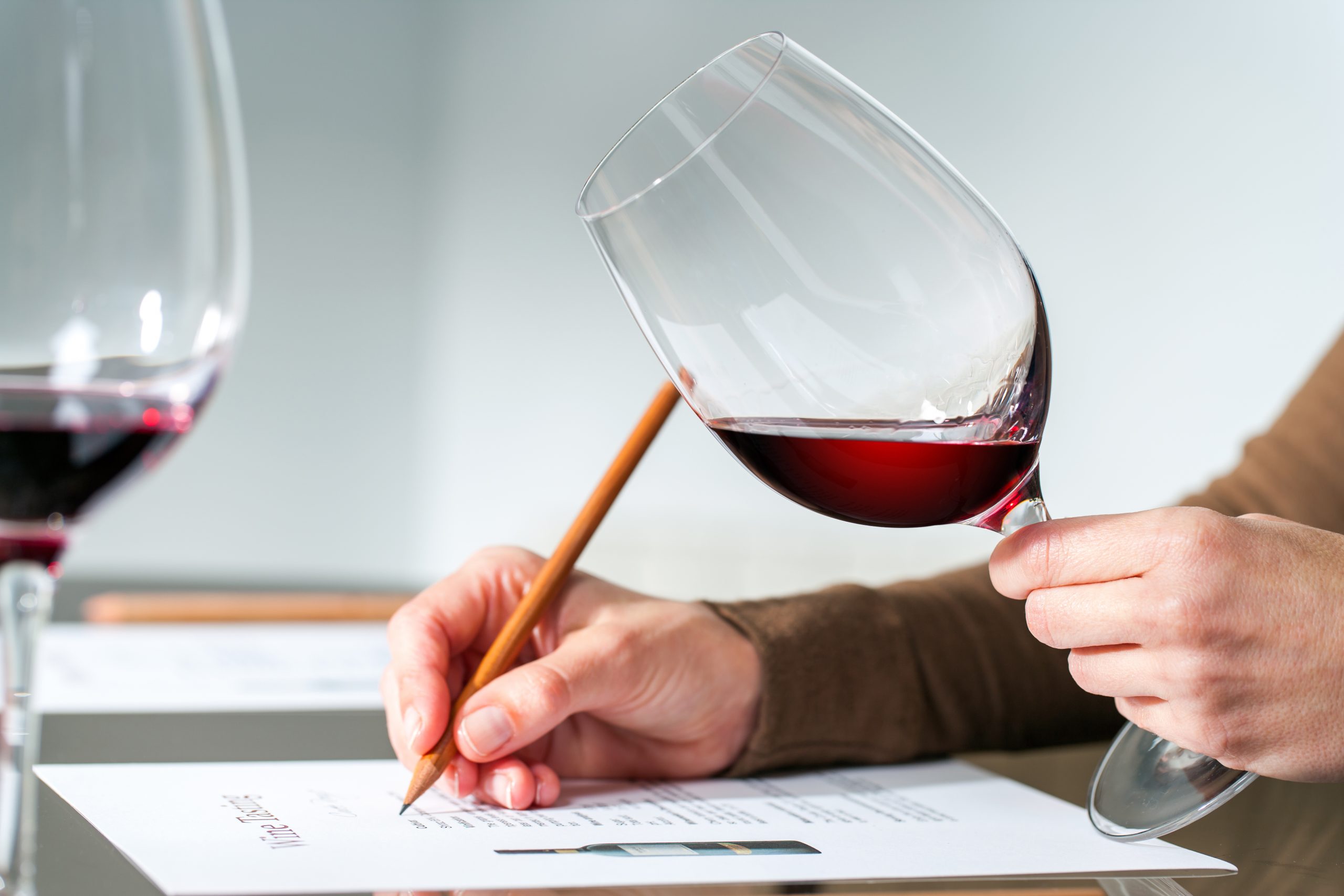 Person taking wine test: WSET sees record number of students in past year