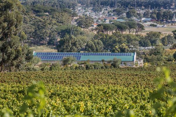 Journey's End Vineyards' solar panels