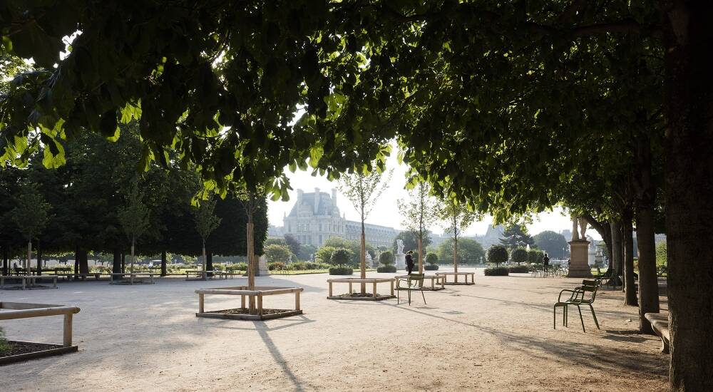 The Jardin des Tuileries: Moet Hennessy supports rewilding initiative at Musee de Louvre