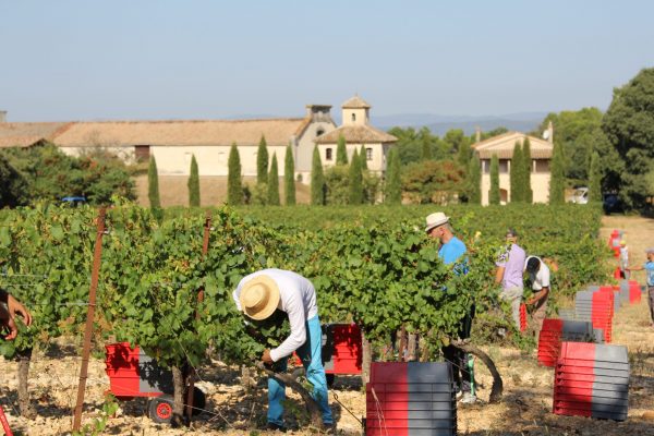 The Wine & Spirits Show 2021 brand spotlight: DD Wine