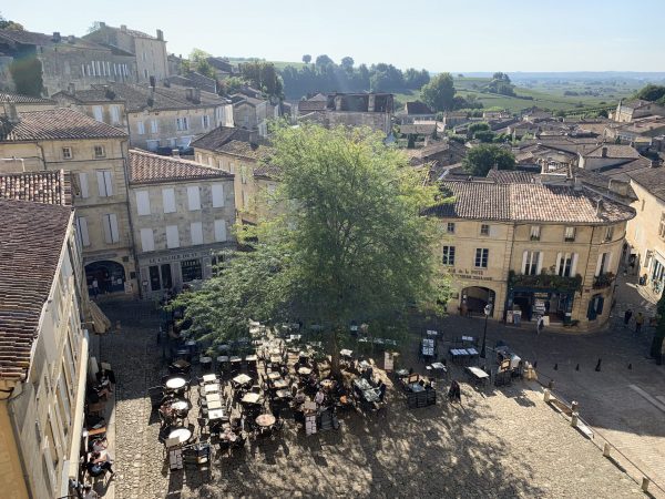 The St Emilion Succession: Series 2