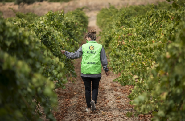 D.O. Rueda launches Taste Rueda campaign for 2021