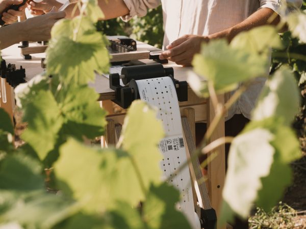 Vallformosa launches its new Cultivare wines