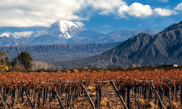 UK becomes Chile’s top wine importer