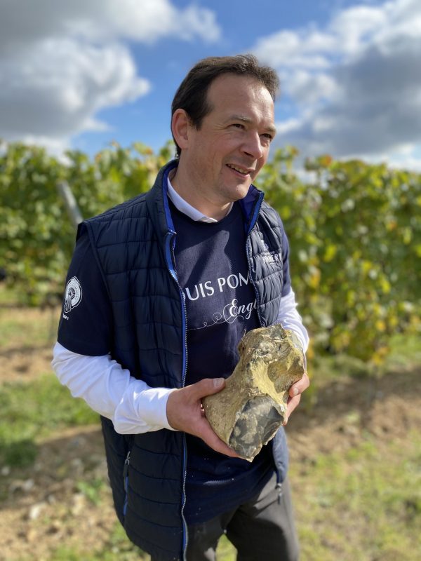 Champagne Pommery brings in first major harvest from Hampshire