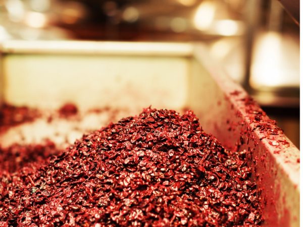 Red wine grape pulp offers big nutritional benefits