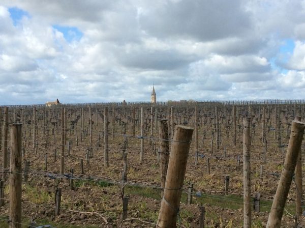Bordeaux en primeur week to return in 2022… and Pomerol bans herbicides