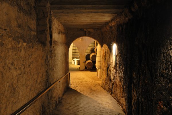 Graham’s releases secret stash of 1950 Tawny Port