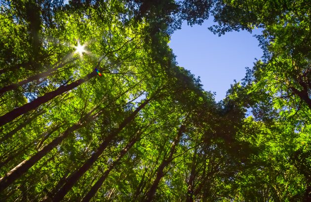 Silent Pool slams drinks industry for sustainability inactivity