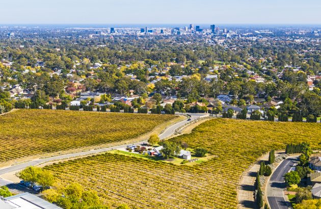 Multi-region Australian wine tours become possible with new flight route