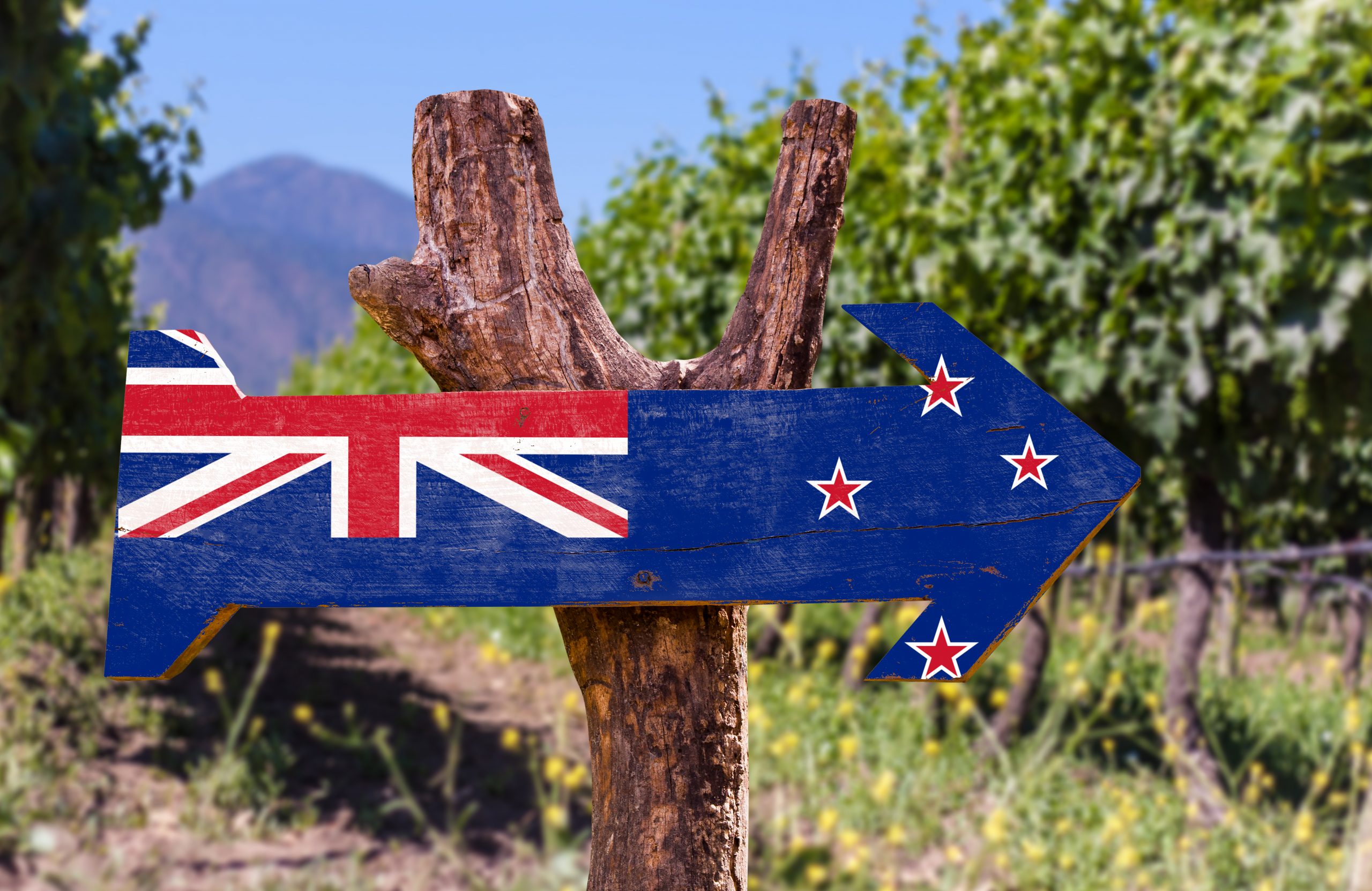 New Zealand wines in high demand despite extreme shortages