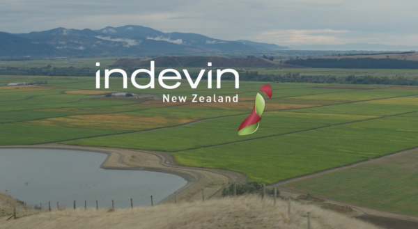 New Zealand’s largest contract winemaker acquires major labour supplier