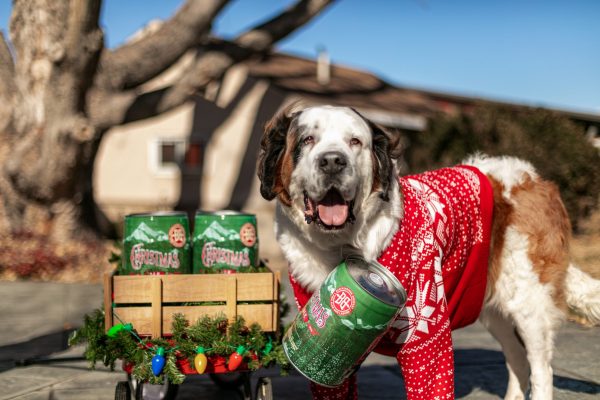 The PAWfect postman – get beer delivered via Saint Bernard this Christmas