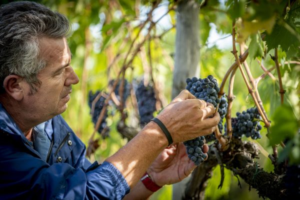 Casanova di Neri Joins Pol Roger Portfolio