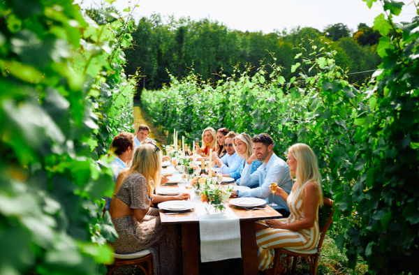 Southern England ‘has potential to be the Napa of the UK’