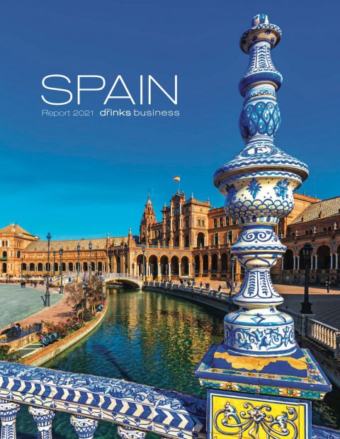 Spain report 2021