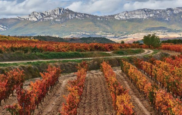 The results in full from The Rioja Masters 2021