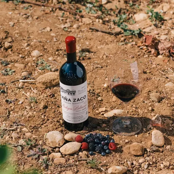 The 10 best Riojas of 2021