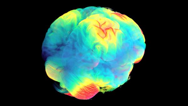 Moderate drinking cuts risk of some brain tumours by 25%, reveals study